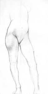 Leg study (1992)